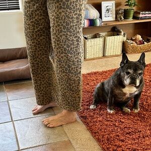 American Eagle Leopard Print Pants